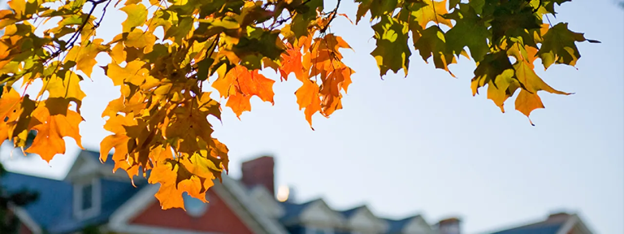 Fall leaves in front of an out-of-focus campus building, Smith College