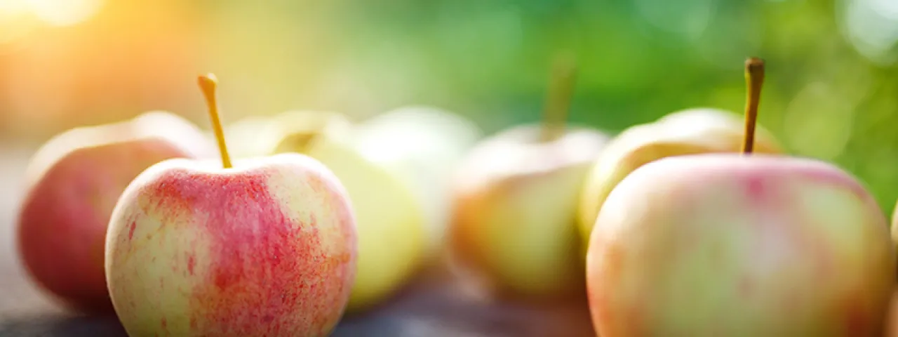 Locally sourced apples