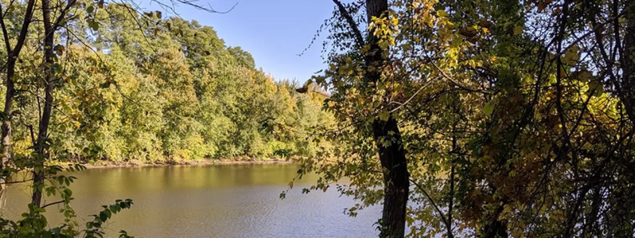 A dark wilderness scene opens up onto a sunny image of a lake, blue skies and mountains.