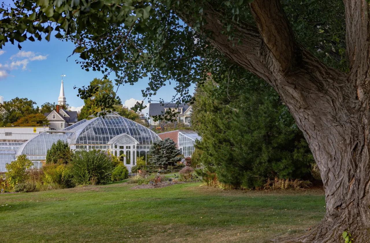 Lyman Plant House in the distance