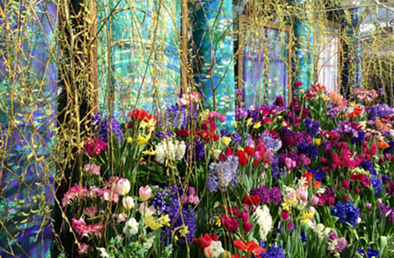 bulb show 2015 "A French Impression"