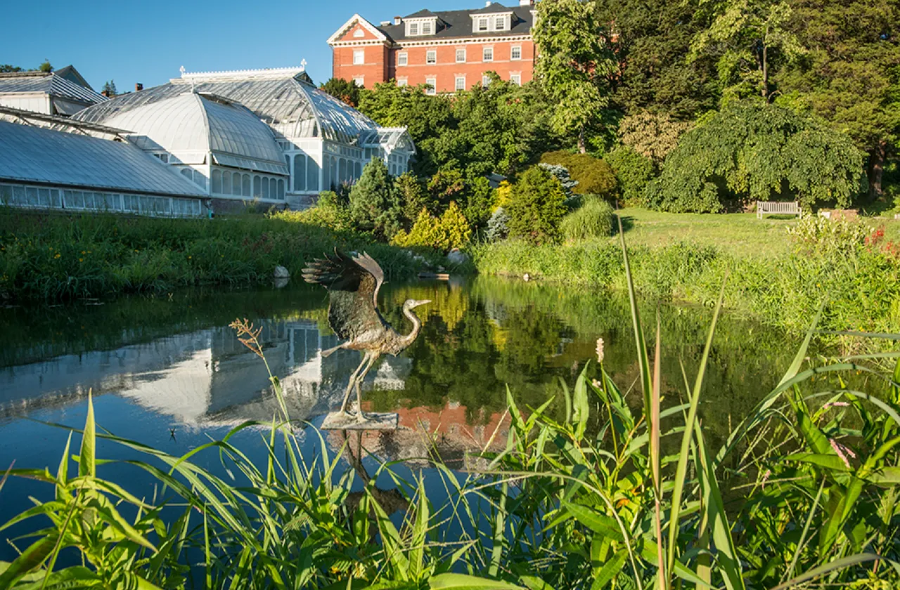 Sculpture of a heron outside the Lyman Conservatory
