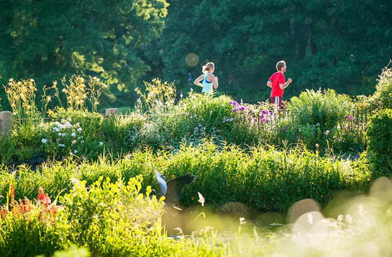 Two joggers running past the Botanic Garden in summer