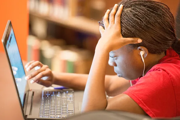 Student studying in Neilson Library