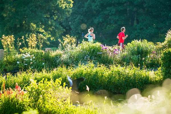 Two joggers running past the Botanic Garden in summer