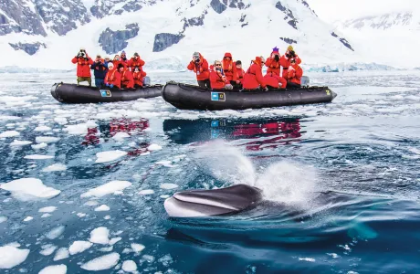 Tourists in rubber rafts watch a whale breach the surface of the icy water