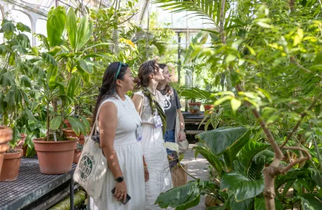 Alums from the class of 2015 look at plants in the Botanic Garden