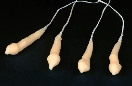 Four beige candles connected by strings