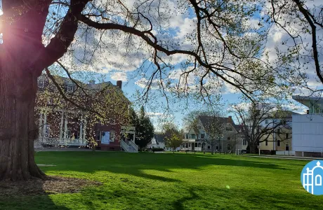Zoom photo - Chapin lawn in spring