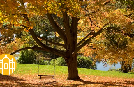 Photo of swing near Paradise Pond