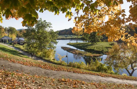 Photo of Paradise Pond