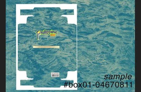 Printmaking project by Cara Flores '20, "Who Owns the Ocean?"