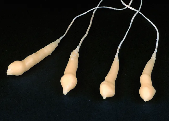 Four beige candles connected by strings