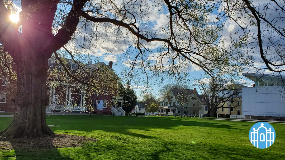Zoom photo - Chapin lawn in spring