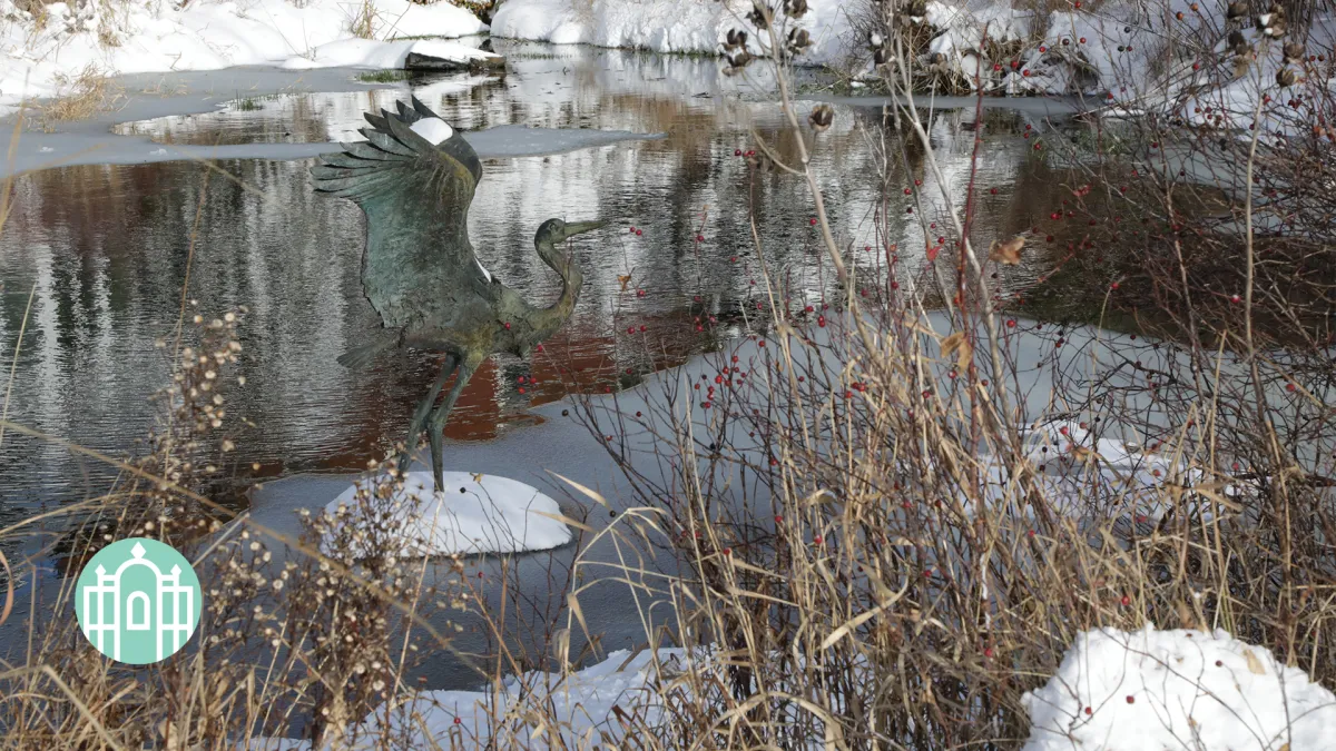 Paradise Pond in the winter