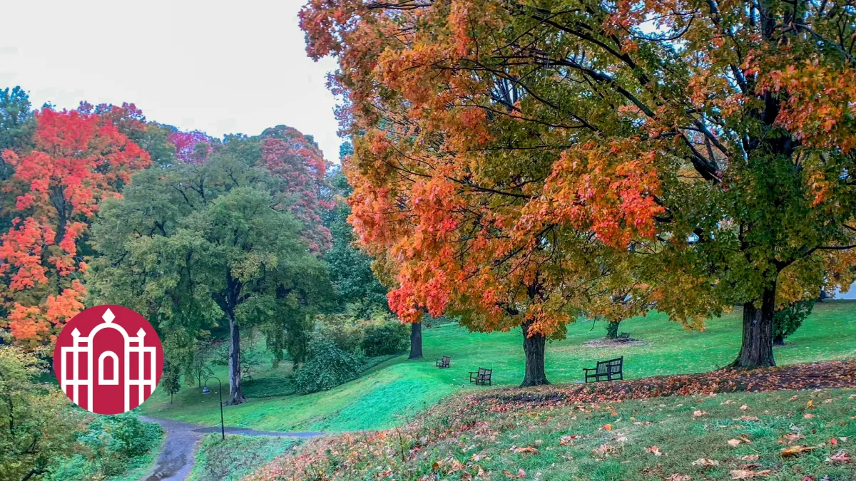 Photo of fall foliage and walking path on campus
