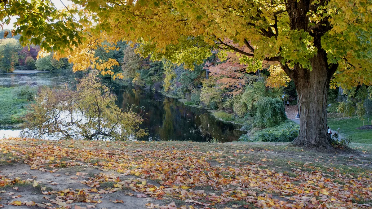Photo of Paradise Pond
